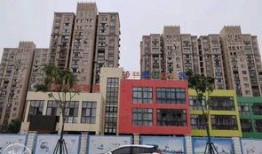 苏州宝地广场爆料案件最新,揭秘背后惊人真相